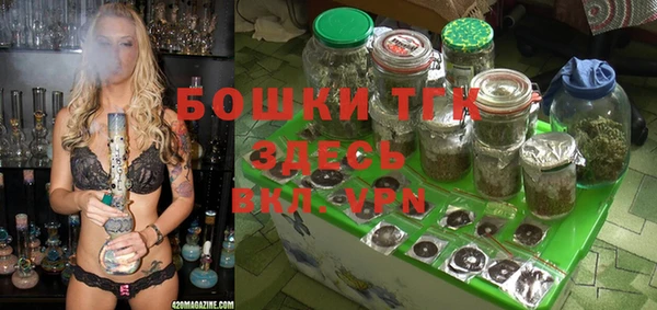 ешки Няндома