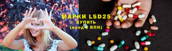 PSILOCYBIN Богородицк